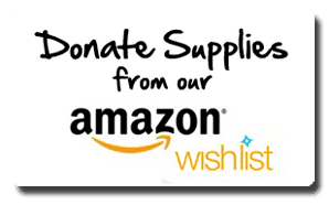 Amazon Charity Wishlist